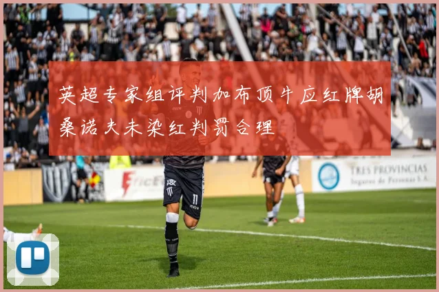 英超专家组评判加布顶牛应红牌胡桑诺夫未染红判罚合理